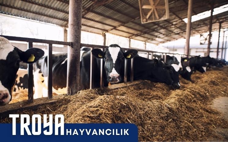 TROYA Hayvanclık San. Tic. Ltd. Şti.