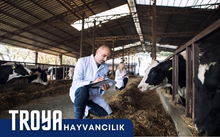 TROYA Hayvanclık San. Tic. Ltd. Şti.