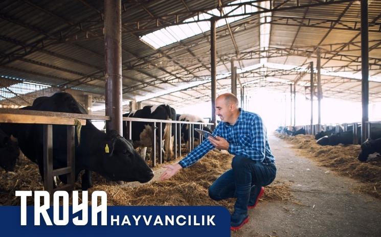 TROYA Hayvanclık San. Tic. Ltd. Şti.